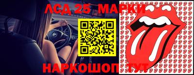 гидропоника Краснодар