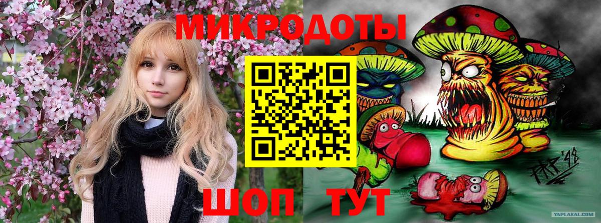 Псилоцибиновые грибы GOLDEN TEACHER  Вход с VPN  даркнет сайт  Псилоцибиновые грибы ЛСД  Кирово-Чепецк 